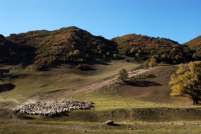 u34/syling/medium/34790856.DSC_7714.jpg