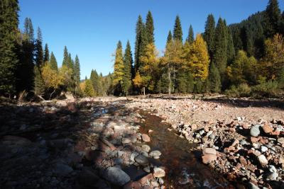 u34/syling/medium/34790857.DSC_7716.jpg