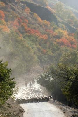 u34/syling/medium/34790910.DSC_7835.jpg