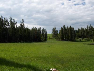 100_0198.JPG