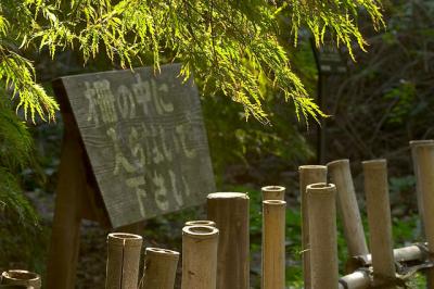 u34/tbodley/medium/22439148.Kaedeen_Fence_Sign_CRW_829.jpg