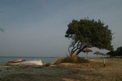 Beach of Skala Prinos