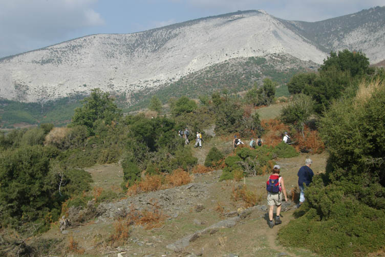 Near Theologos