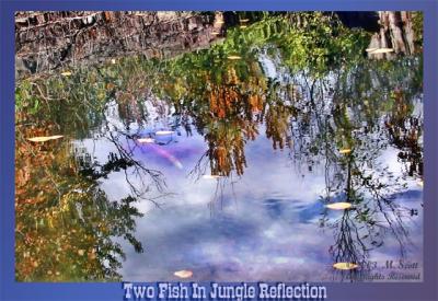 Jungle Reflections