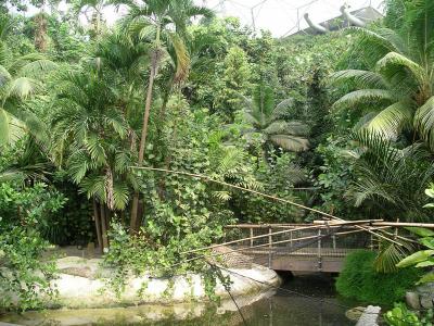 More jungly July 2004