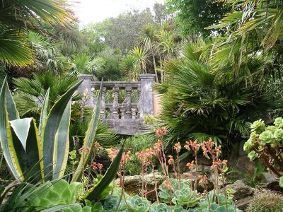 Lamorran House Gardens, St Mawes (UK)