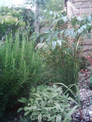 July_08.JPG