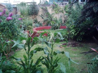 July_10.JPG