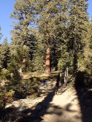 Gary and Gobie, Jackass Creek