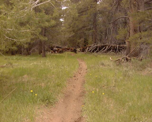 Granite-Broder Trail