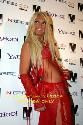 Brooke Hogan