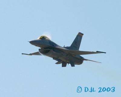 9546.jpg