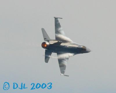 9554.jpg