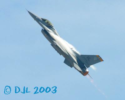9559.jpg