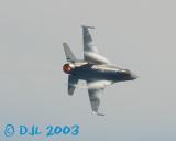 9554.jpg