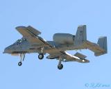 A-10 Warthog, Thunderbolt II
