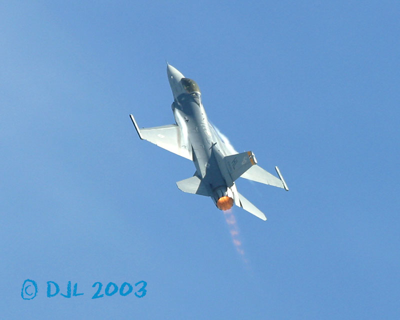 9542.jpg