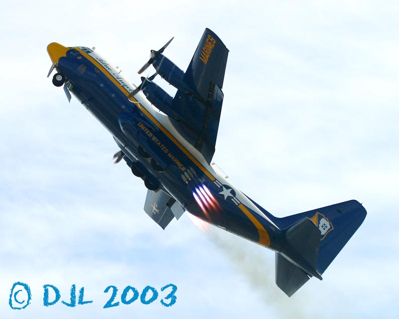 9667.jpg