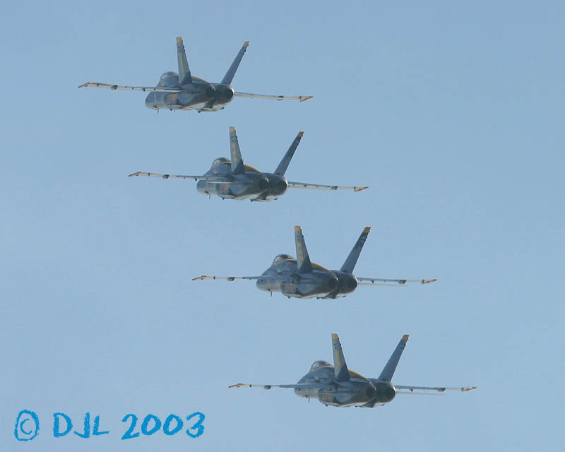 9804.jpg