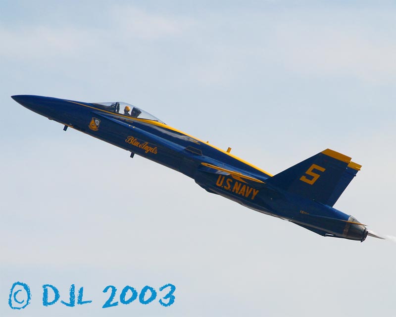 9827.jpg