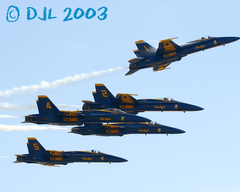 9887.jpg