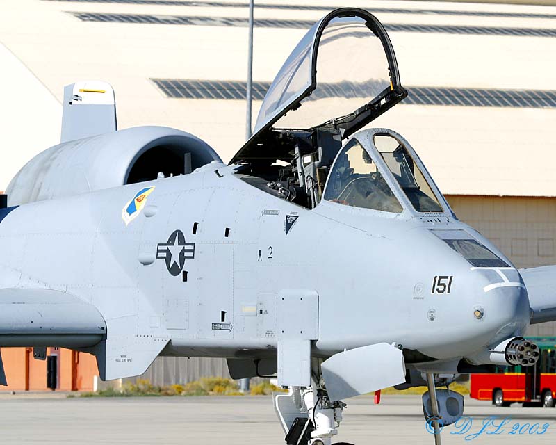 A-10 Warthog, Thunderbolt II