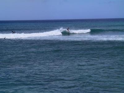 Surfers