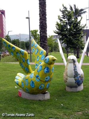 Palomas ...  en fin