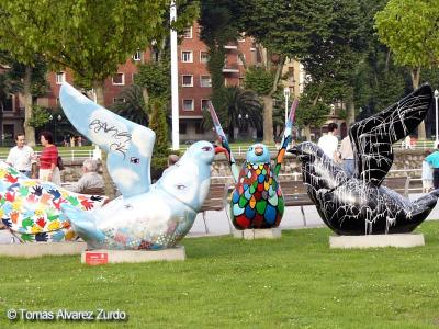 Palomas en convencin