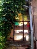 Ivy, Window, Gnome