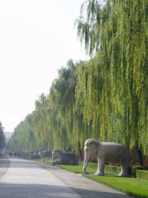 Ming Tombs