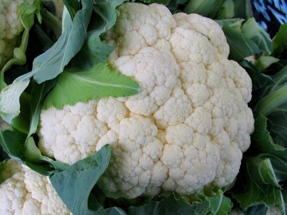 Cauliflower