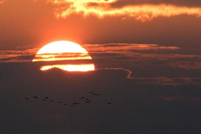 A glorious sunset
