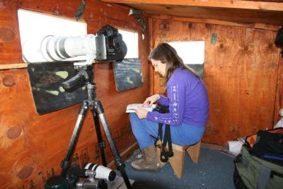 Cynthia, as always, reading! (the birds weren't THERE yet)