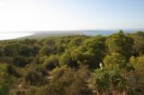 John´s View (Buena Vista)