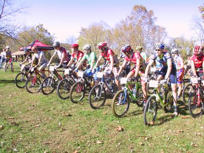 u34/unovelo/medium/22588773.CSW029.jpg