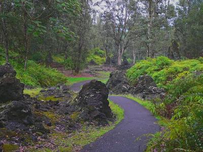 Lava Tree State Park #1