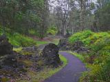 Lava Tree State Park #1
