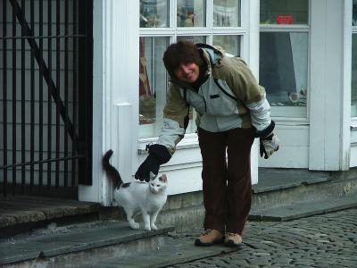 Christine back in Bergen - even the cats are happy