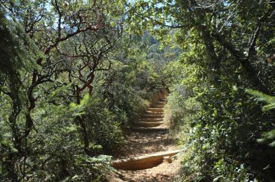 u34/vkantabu/medium/31368885.trailonmttamalpaisDSC_0042.jpg