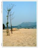 The beach