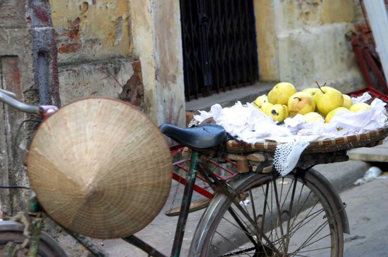 Apples on a bike.jpg