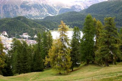 Blick auf St. Moritz-Dorf und See
