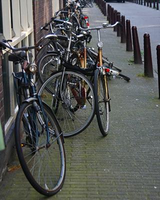 Amsterdam 6.jpg