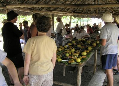 P3240163--Banana Plantation -Food Spread.JPG