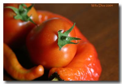 First Tomato  /  July 10, 2004