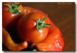 First Tomato  /  July 10, 2004