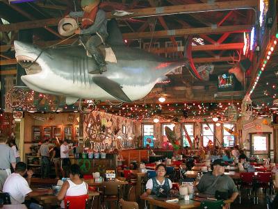 James, Marti and Man riding a shark