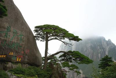 CRW_9571.jpg