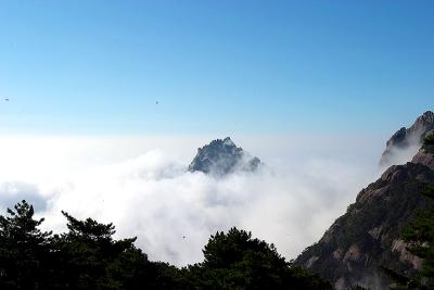 CRW_9671.jpg